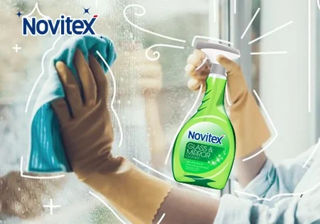 تمیز کردن شیشه های پنجره